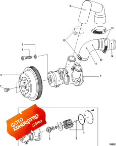 Water Pump, Jabsco (������� �����, Jabsco)