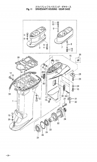    /    <br /> Drive Shaft Housing / Gear Case