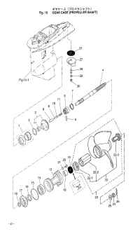    (  ) <br /> Gear Case (Propeller Shaft)
