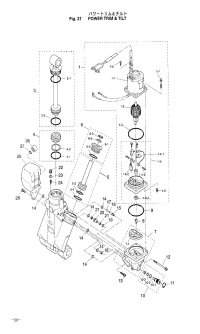 Power Trim & Tilt <br />   