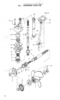 Transmisson / Water Pump <br /> Transmisson /  
