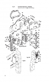   <br /> Electric Parts Ecu & Diagram