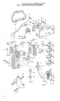 Electric Parts Ecu & Diagram <br />   Ecu & Diagram