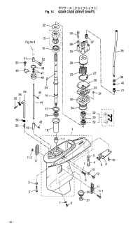    ( ,  ) <br /> Gear Case (Drive Shaft, Water Pump)