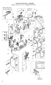 Electric Parts Ecu & Diagram <br />   Ecu & Diagram