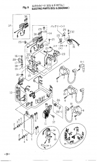   <br /> Electric Parts Ecu & Diagram