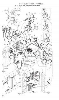 Electric Parts Ecu & Diagram <br />   Ecu & Diagram