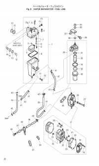 Vapor Separator & Fuel Line <br />  & Fuel Line