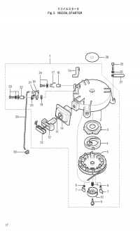    <br /> Recoil Starter