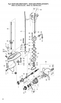    <br /> Gear Case, Drive Shaft & Propeller Shaft