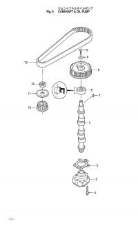      <br /> Camshaft, Oil Pump