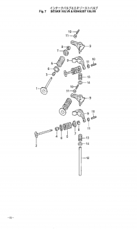 Intake Valve & Exhaust Valve <br />   &  