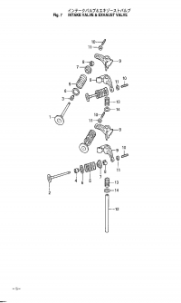 Intake Valve & Exhaust Valv <br />   &  Valv