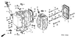   /    (Cylinder Barrel / Cylinder Head)