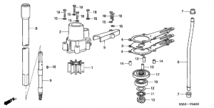   /   (Water Pump / Vertical Shaft)