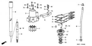   /   (Water Pump / Vertical Shaft)