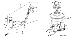   /  (Ignition Coil / Flywheel)