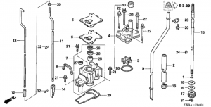   /   (ul size) (Water Pump / Vertical Shaft (ul Size))