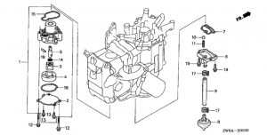   (Oil Pump)