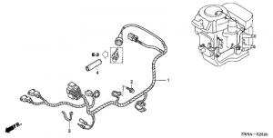   (1) (Wire Harness (1))