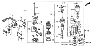   (Starter Motor)