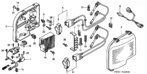   /   C.D.I. (Ignition Coil / C.d.i. Unit)