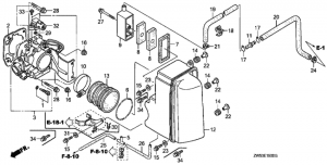   (Throttle Body)