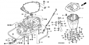   (Oil Pan)