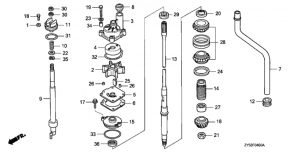   /   (Water Pump / Vertical Shaft)