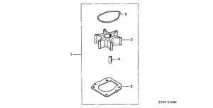      (1) (Water Pump Impeller Kit (1))