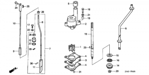   /   (Water Pump / Vertical Shaft)