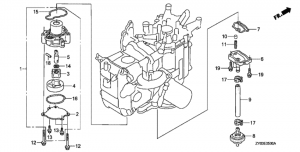   (Oil Pump)