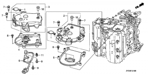    (Timing Belt Cover)