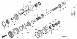    (xcd / xcu / xxcd / xxcu) (Propeller Shaft (xcd / Xcu / Xxcd / Xxcu))