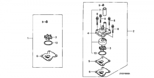      (Impeller Pump Kit)