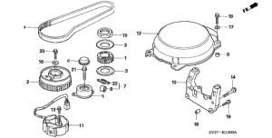   (Timing Belt)