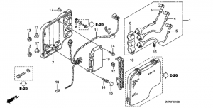   /   C.D.I. (Ignition Coil / C.d.i. Unit)