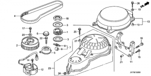   (Timing Belt)