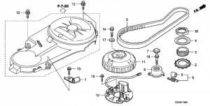   (Timing Belt)