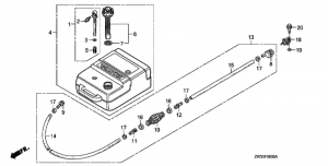   (Fuel Tank)