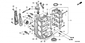   (Cylinder Block)