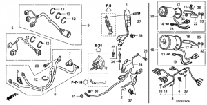  (Regulator)