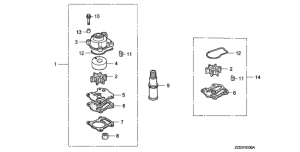      /    (Impeller Pump Kit / Water Hose Joint)