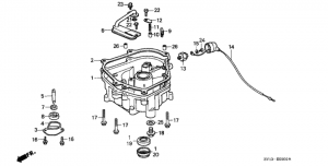   (Oil Pan)