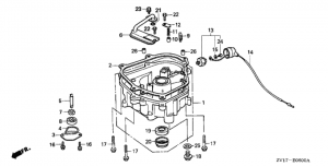   (Oil Pan)