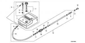   (Fuel Tank)