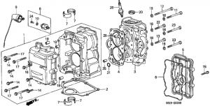   /    (Cylinder Barrel / Cylinder Head)