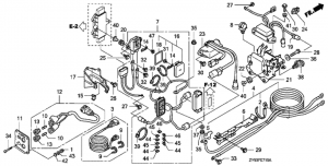   (Starter Cable)