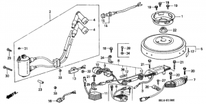  /   (Flywheel / Ignition Coil)