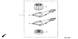      (Water Pump Impeller Kit)